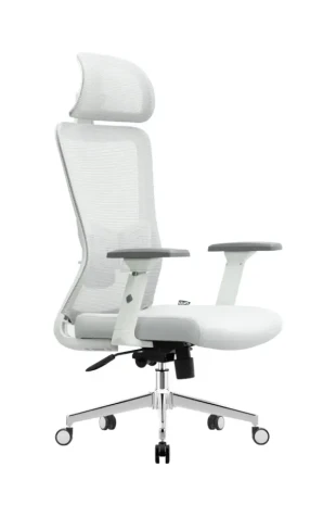 Ergonomska kancelarijska stolica UGD Silver Polare