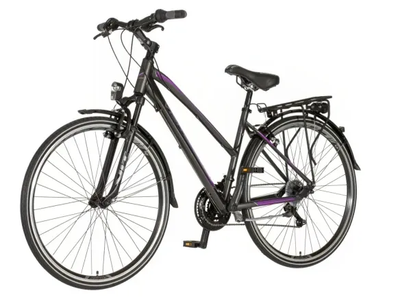 Bicikla Visitor tour Terra Lady 28/amortizer 19 V-BRAKE/18 brzina/sivo-ljubičasti Glavna slika