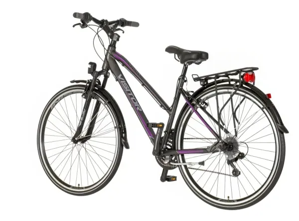 Bicikla Visitor tour Terra Lady 28/amortizer 19 V-BRAKE/18 brzina/sivo-ljubičasti Slika 2