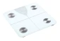 Personalna vaga HEINNER HBS-BTH180WH/ 180kg/digitalna/bluetooth Glavna slika