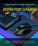 FOREV FV-509 GAMING RGB 6400DPI High End Slika 2