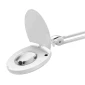 Stona lampa sa lupom Prosto LLP6025-8 Slika 3