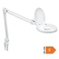 Stona lampa sa lupom Prosto LLP6025-8 Glavna slika