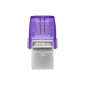 USB Flash 256GB Kingston DTDUO3CG3/256GB Glavna slika