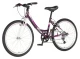 Bicikla Visitor Junior Fox 24/19 V-BRAKE/6 brzina/ljubičasta Glavna slika