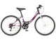 Bicikla Visitor Junior Fox 24/19 V-BRAKE/6 brzina/ljubičasta Slika 3