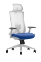 Ultra ergonomska kancelarijska stolica UGD P200 Blue Glavna slika