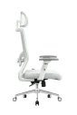 Ergonomska kancelarijska stolica UGD Silver Polare Slika 3