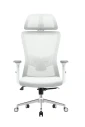Ergonomska kancelarijska stolica UGD Silver Polare Slika 4